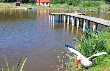 Domki nad stawem w Harszu - Foto 26
