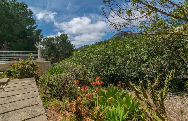 Carritx With 4 Bedrooms and 4 Bathrooms - Foto 34