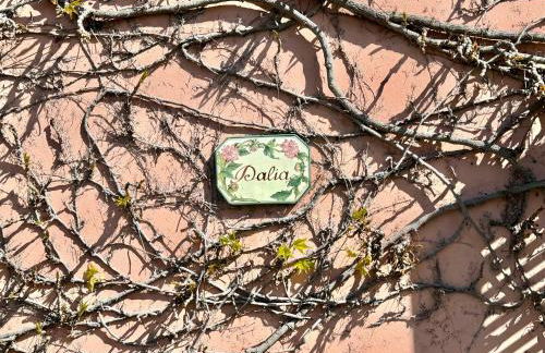 Agriturismo Monteverde - Foto 7