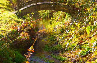 Lower Marsh Farm Glamping - Photo 57