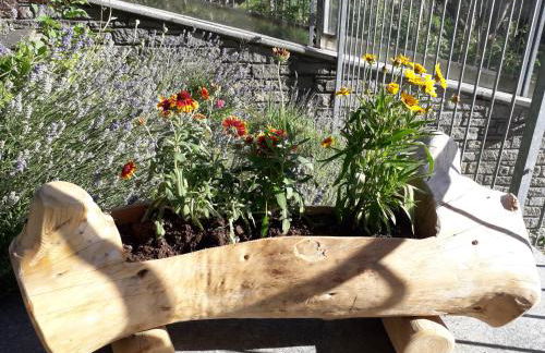 The Green Owl - Foto 53