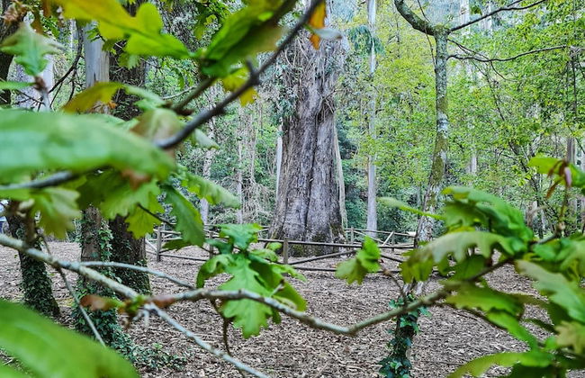 Duerming Ría de Viveiro Apartamentos - Foto 18