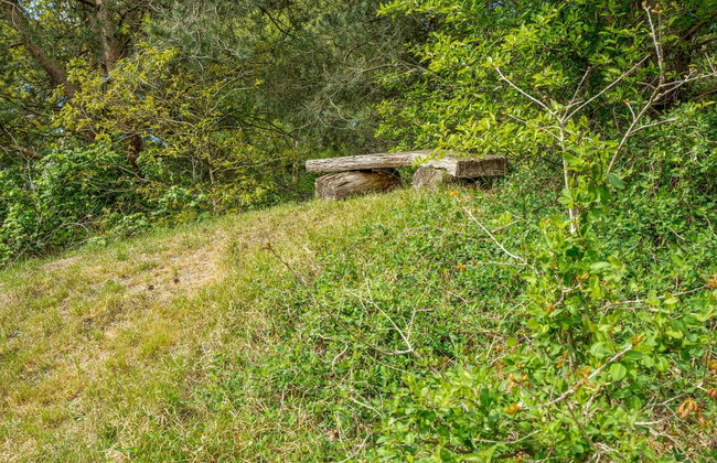 "Livni" - 3.8km from the sea - Foto 23