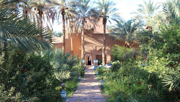 "Amazraou Oasis Sahara Expedition | Privado y de lujo - Foto 3, desierto del sahara marruecos