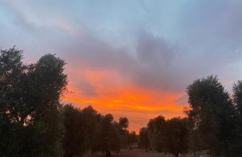 Trullo Alessandro e Villa Raffaela - Foto 38