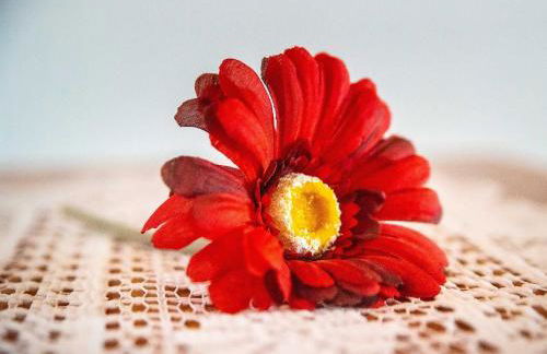 Ennerla Hof - Foto 35