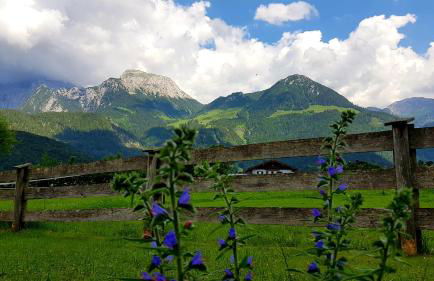 Ferienwohnung Höfler - Foto 2