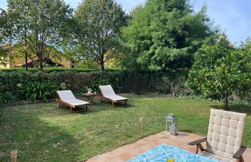 Bajo con Jardin y Piscina! - Foto 8