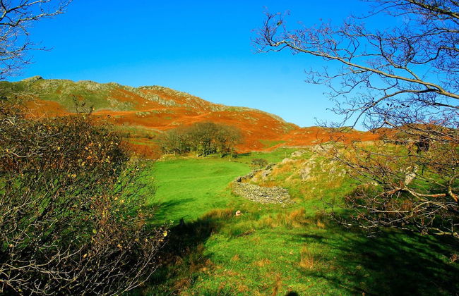 Brook Road Cabin - Photo 30