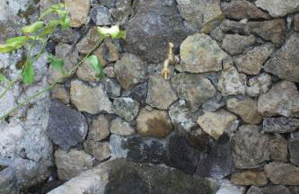 Quinta das Rosas Villas - Photo 43