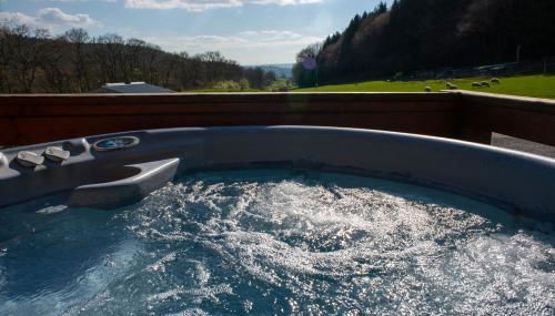 George Cabin - Log Cabin in Wales with Hot tub - Foto 2