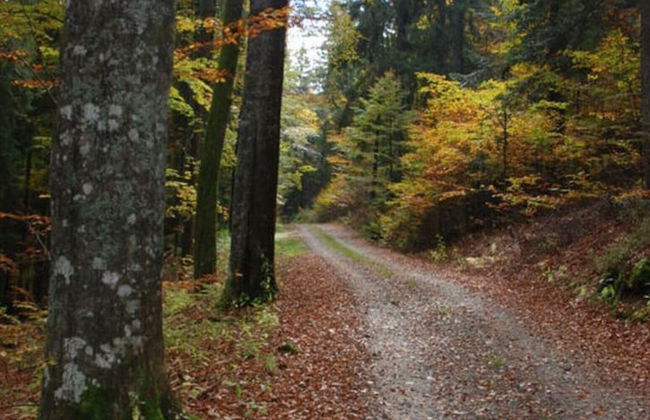 Nesterl Modern Retreat - Photo 26