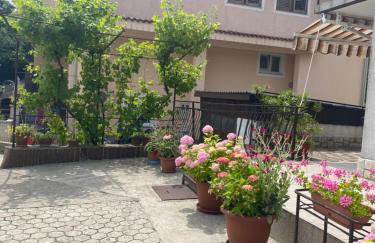 Apartman Mira - Photo 33