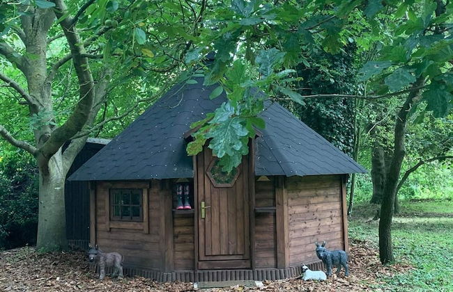 Starry Meadow - Foto 66