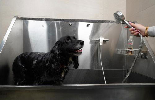 Rock Mill Studio Apartment 9 - Photo 25