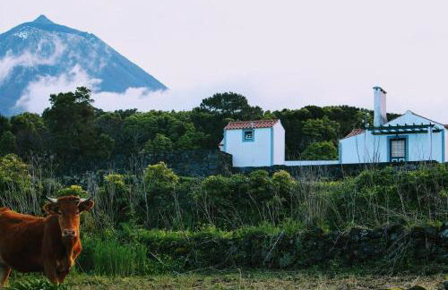 Casa do Paim - Photo 60