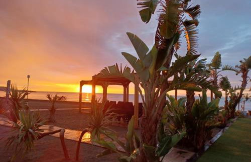 ESTUDIO WIOLKA - Foto 21