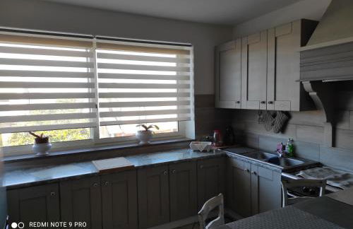 Cactus house - Foto 43