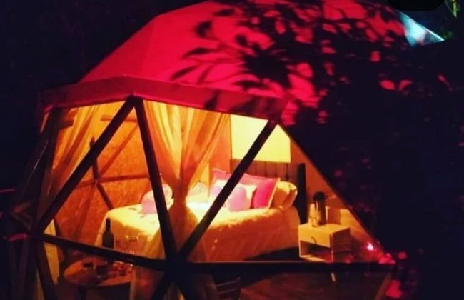 Glamping Bosques del Moral - Foto 10