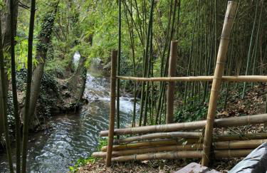 Le moulin de mon coeur - Foto 25