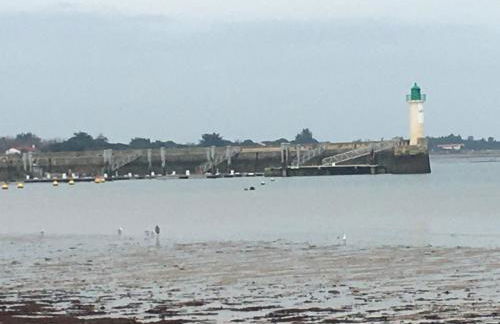 La Petite Maison sur l'Ile de Ré - Foto 18