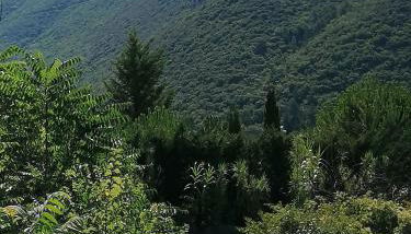 En Provence à MOLLANS - Foto 3