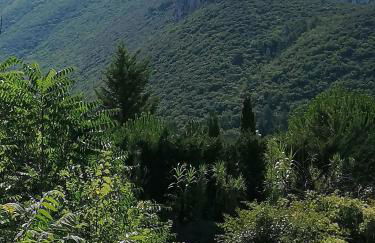 En Provence à MOLLANS - Foto 3