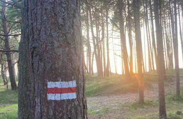 Apartamenty nad morzem Przy klifie 3 Dębina - Foto 72