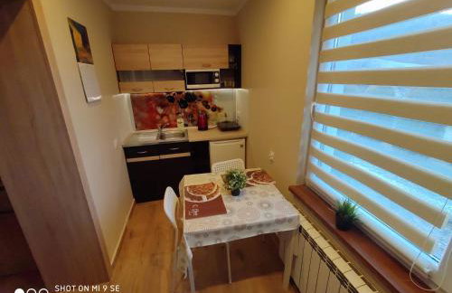 "MAGNOLIA" - Noclegi Pod Górą Żar - Foto 9