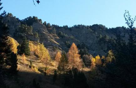 Le ZEN au pied du Grand Veymont en été en hiver - Foto 25