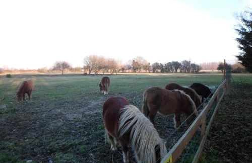 Gite familial à Carentan - Photo 54
