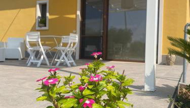 Villa Trellame - Casa vacanze tra gli ulivi - Foto 2, Garden view