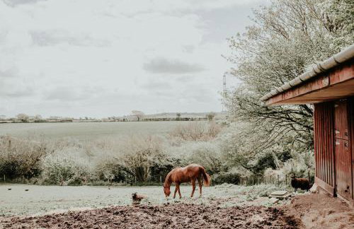 Higher Trewithen - Photo 13