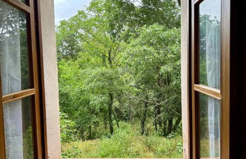 L Olivier Studio charme et nature - Foto 17