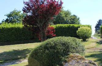 Holiday Home Ty Coz Castel by Interhome - Foto 10