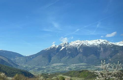 Ciasa Erica - Val di Non - Foto 9