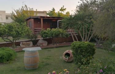 Villa Paquita - Delta de l'Ebre - Foto 47