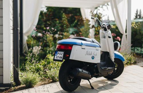 Niebieski Kamyk - Foto 64