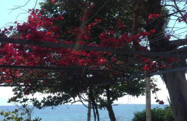 Villa Nelly by the sea - Foto 16