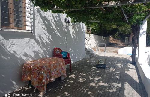 Finca Rústica La Pájara - Foto 24