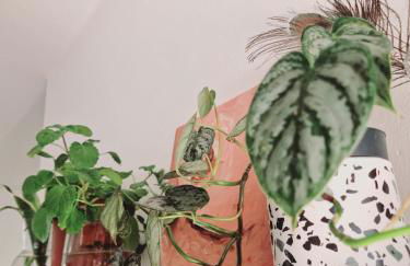 Villa Mirakai - Foto 6