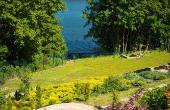 Golden Lofer - Photo 35