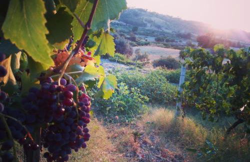 Agriturismo Feudo Gagliardi - Foto 27