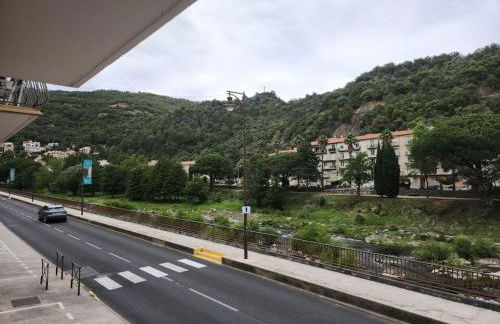 Résidence Centrale Appartement 3 pièces Garage et jardin - Foto 6