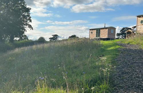 Cosy Devon Hut Woodland Views - Photo 1