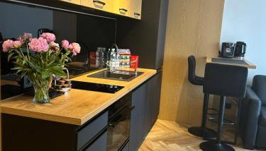 Business Apartment Płock - Foto 3