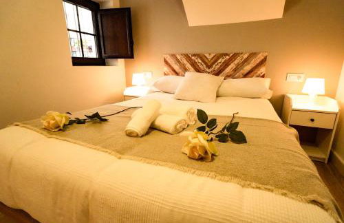 Apartamentos Consistorio Live - Foto 12