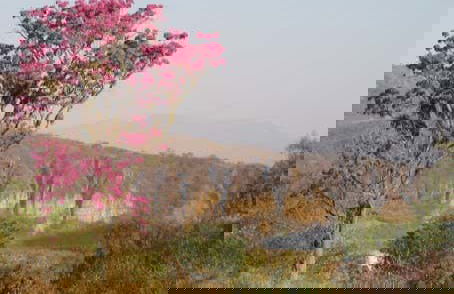 Tour de 6 días por la Reserva Nacional de Tariquía - Foto 5