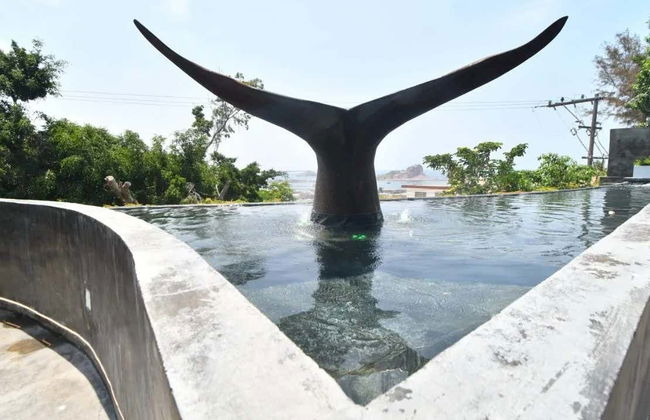 Biglietti per l'Osservatorio 1873 + Museo Nazionale della Balena - Foto 9