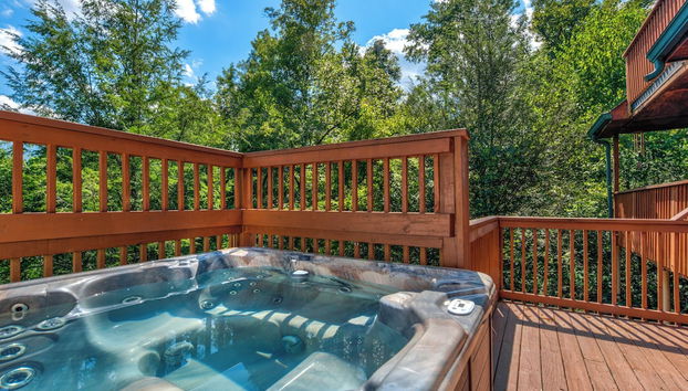 Servizio della struttura